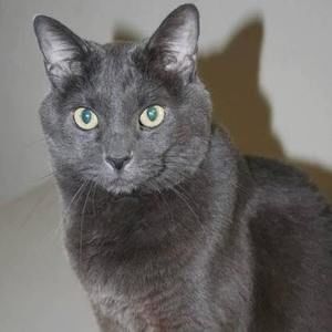 Meet your Posher, Selena